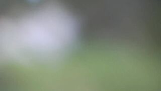 Lesbian Pee Domination 2