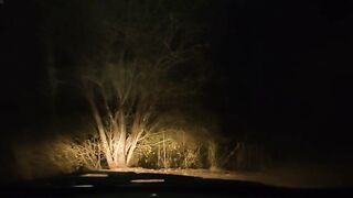 Sex with mother's friend in a car