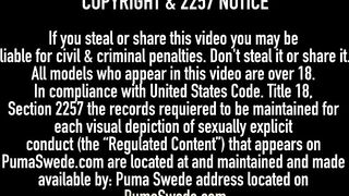 Swedish Amazon Puma Swede & Veronica Avluv Make Pussy Pie!