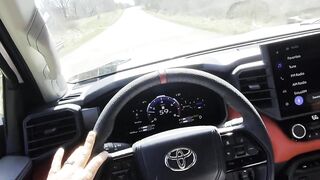 Road Head Swallow