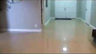 Short BBW VS Tall girl