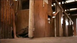 Horse Burlesque