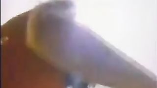 Anna Malle, Jeanna Fine - Diva 1 Caught In The Act 