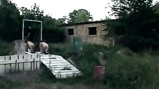 Military