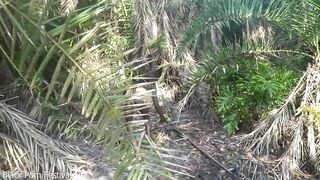 African jungle flawless tits tribe girl making strange medicine in the forest documentary style