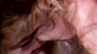 Interracial Vixens - Original Full Movie scene