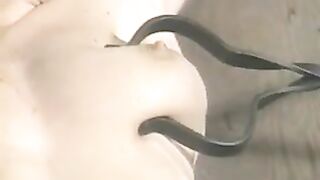 Vintage torture 5