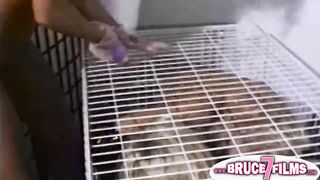 Caged vintage lesbians