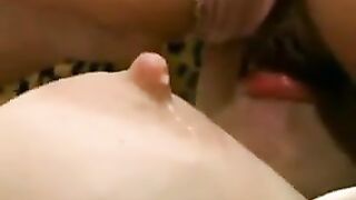 lactating