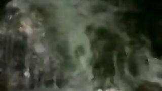 The secret forest