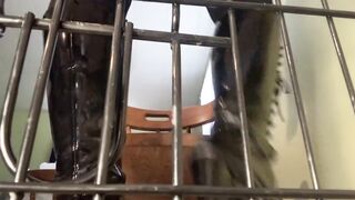 Caged Pet Play JOI - Curvy Femdom POV (it's for all genders too)