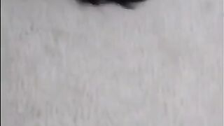 smell my feet