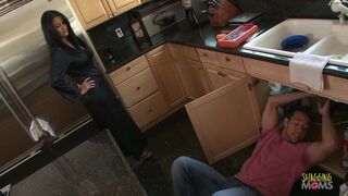 Horny plumber gets to do greater amount than just fix some pipes