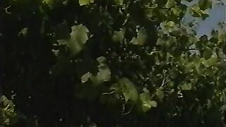 WICKED NANCY 35