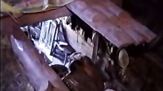 Russian Nudist Teen Girls Hayloft Hayfighting
