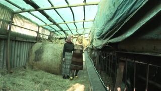 Orhidea the Bitch Pig (film)