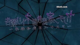Anime Comics, Animated porn