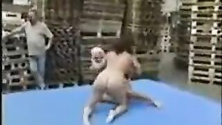 Catfight in France