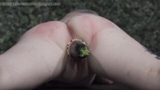 Zuccini - Ruby - Queensnake.com - Queensect.com