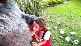 Little Red Riding Hood lost a fruit from her basket and is looking for it in the wolf's pants.