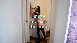Chloe Cage Mid Afternoon Black Breeding
