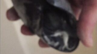 Hot Octopus Orgasm