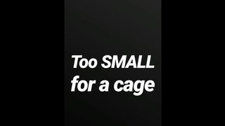 Likewise small for a cage SPH JOI AUDIO SOLELY