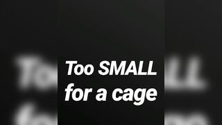 Likewise small for a cage SPH JOI AUDIO SOLELY