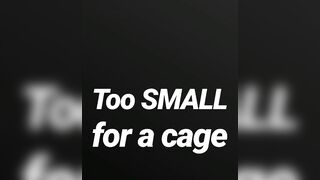 Likewise small for a cage SPH JOI AUDIO SOLELY