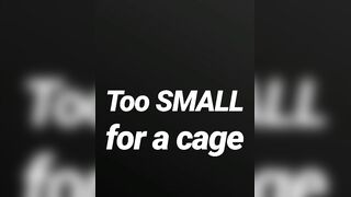 Likewise small for a cage SPH JOI AUDIO SOLELY