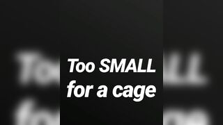 Likewise small for a cage SPH JOI AUDIO SOLELY