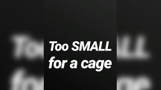Likewise small for a cage SPH JOI AUDIO SOLELY