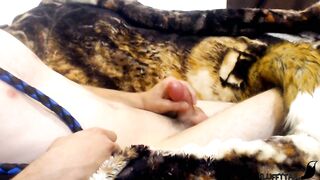Pet Fox male lewds Janine the Bad Dragon Toy - with internal camera