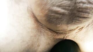 cucumber ass screw close up