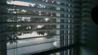 House window penis flashing