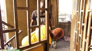 Fucking a stranger