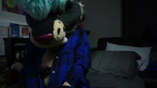 Tusky in Plaid Teases YOU