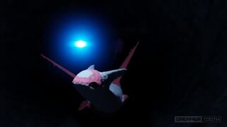 CUTE DRAGON BIRD RAILED BY LASCIVIOUS BAT [LATIAS x NOIVERN] [CUM EXPLOSION]
