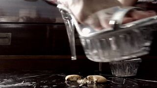 FOOD CRUSH VERME INUTILE TI CALPESTO E TI RIDUCO IN BRICCIOLE