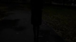 In public. Exposed in the park at night. No panties bald pussy.