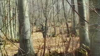 Anal Orgy in the Woods
