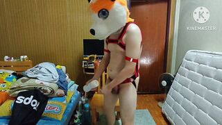 Sexually excited doggy on main