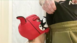 top pissing on face and fucking her puppy in mouth