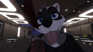 Space Raccoon Butt Invasion - POV Furry Sex