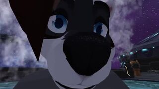 Space Raccoon Butt Invasion - POV Furry Sex